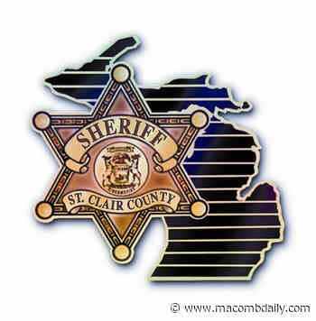 Warren woman, younger brother killed in two-car crash in St. Clair County - The Macomb Daily