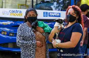 Em dois anos Itapevi castra 10 mil animais - DIÁRIO DA REGIÃO - webdiario.com.br