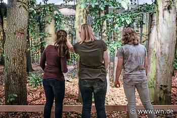 Kreative Angebote für Jung und Alt