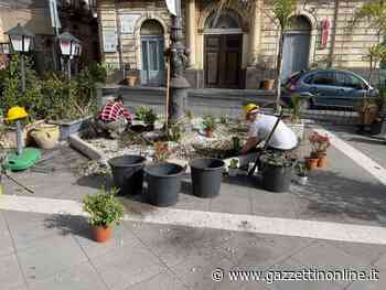 Giarre, studenti dell’Agrario abbelliscono gli arredi floreali di piazza Duomo - Gazzettinonline