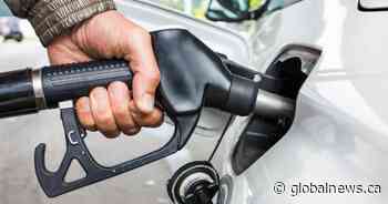 Red Deer RCMP warning residents of gasoline thefts from personal vehicles - Global News