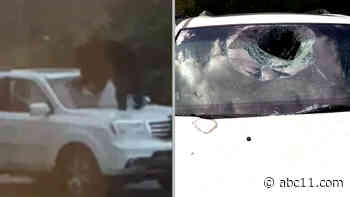 Bear punches its way in to North Carolina family's car