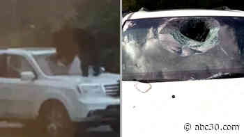Bear punches its way in to North Carolina family's car