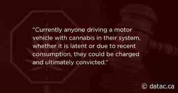 Saskatoon woman to be charged with THC-impaired driving causing death - Drug & Alcohol Testing Association of Canada (DATAC)