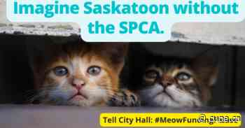 CUPE members campaign to save the Saskatoon SPCA - CUPE Alberta -