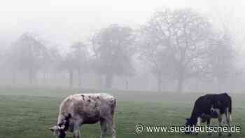 Wetter - Essen - Regnerisches Wochenende mit kalten Nächten - Panorama - SZ.de - Süddeutsche Zeitung - SZ.de