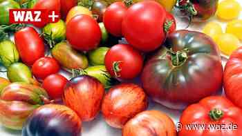 Ernährungsmediziner über Superfood: Was wir essen sollten - WAZ News