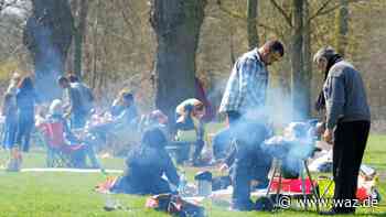 Essen: Politik fordert mehr Kontrolle an den Grillplätzen - WAZ News