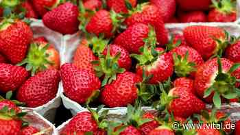 Darum sollten Sie jetzt keine Erdbeeren essen - Vital