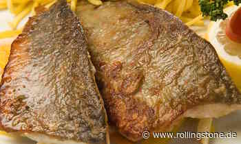 Gunter Blank geht essen: Saibling an Blutwurst - Rolling Stone