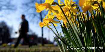 Bis zu 23 Grad: In der Karwoche bringt Hoch „Reiner“ den Frühling zurück