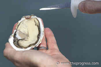 Union Bay Seafood brand Pacific oysters recalled due to norovirus risk – Chilliwack Progress - Chilliwack Progress