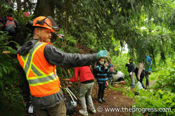 Chilliwack council warming up to Little Mountain Nature Park idea – Chilliwack Progress - Chilliwack Progress