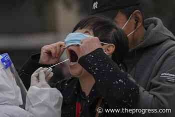 WHO: COVID cases and deaths continue to fall globally – Chilliwack Progress - Chilliwack Progress