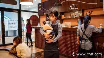 Eccentric Japanese billionaire now betting that 'emotional' robots can heal your heart