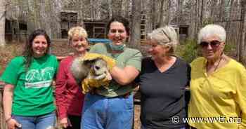 Nelson County women committed to protecting animals - WVTF