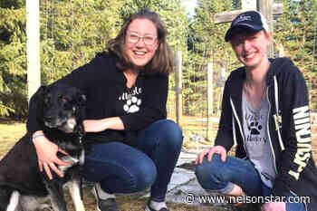 West Kootenay women selling cookies to support Canucks Autism Network – Nelson Star - Nelson Star