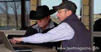 Mesquite control is not an easy task — let LandVisor™ improve the odds