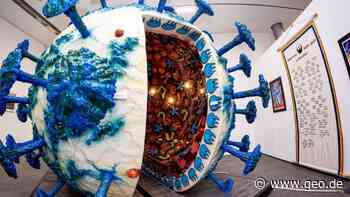 Neue Objekte: «Seuchen»-Ausstellung in Hildesheim geht in die Verlängerung - GEO.de