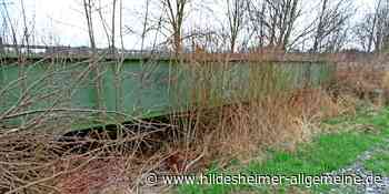 Kreis Hildesheim: Zugewucherte Flutbrücken – K+S will eingreifen - www.hildesheimer-allgemeine.de