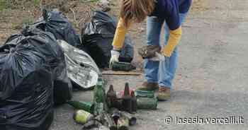 Vercelli: Plastic Free ripulirà l'area industriale - La Sesia | Cronaca