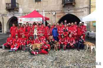 Giovani Croce Rossa in piazza per promuovere la salute - Prima Vercelli