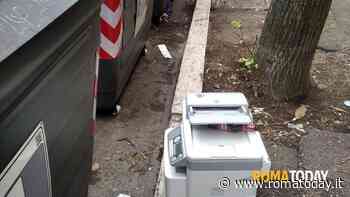 LETTORI - Ma ci lamentiamo dei cinghiali ?