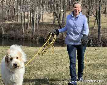 The 'sensational' Dr. Deborah Cook: Hamilton's award-winning 'Three Wishes' creator runs on different fuel - Hamilton Spectator