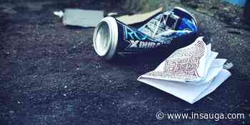 Free food and drinks at Hamilton beach cleanup event ahead of Earth Day 2022 | inTheHammer - insauga.com