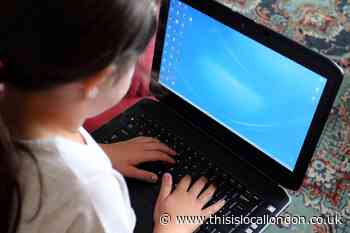 Has Online Learning been successful?