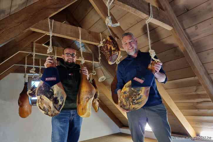 De Romeinen smulden er 2.000 jaar geleden van, nu is varkensras herboren én erkend als ‘100% West-Vlaams streekproduct’