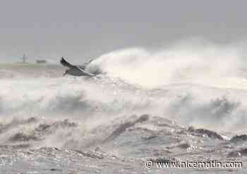 La ville de Fréjus ferme ses parcs et jardins à cause des vents forts