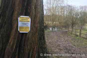 Sewage discharged for nearly 2,000 hours into River Chess