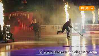 Ein schmales Panther-Gerüst steht