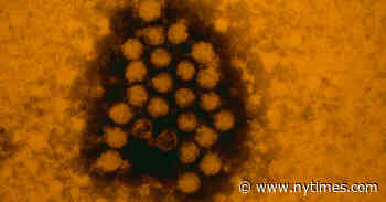 Why a Coronavirus-Flu ‘Twindemic’ May Never Happen - The New York Times