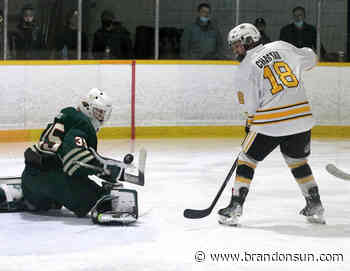 Wheat Kings, Wild set to renew rivalry - The Brandon Sun