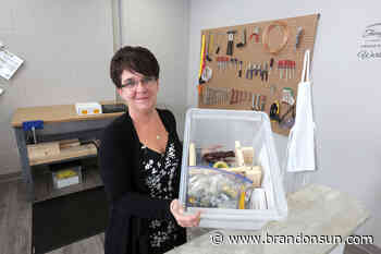 Career Connections launching pre-employment program - The Brandon Sun