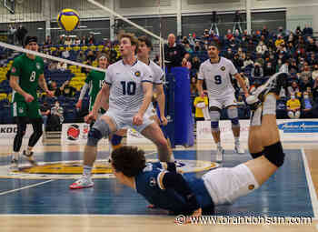 BU YEAR-END REPORT: Fresh lineup took BU to final four - The Brandon Sun