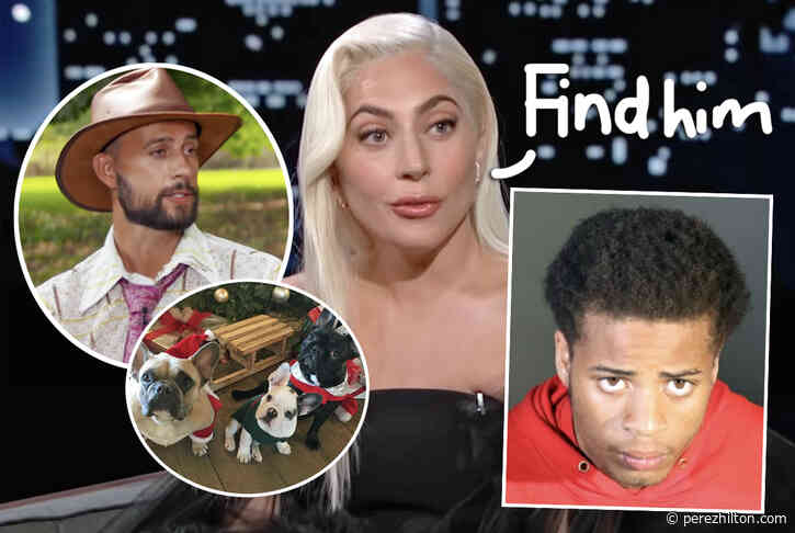 Suspect Accused Of Shooting Lady GaGa’s Dog Walker Mistakenly RELEASED From Jail!!