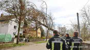 Sturm "Nasim": Umgestürzte Bäume im Ostalbkreis, Ulm, Neu-Ulm - SWR Aktuell