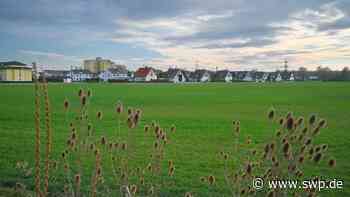 Bauen im Landkreis Neu-Ulm: In Vöhringen entsteht ein neues Baugebiet – Klimaschutz wird hier großgeschrieben - SWP
