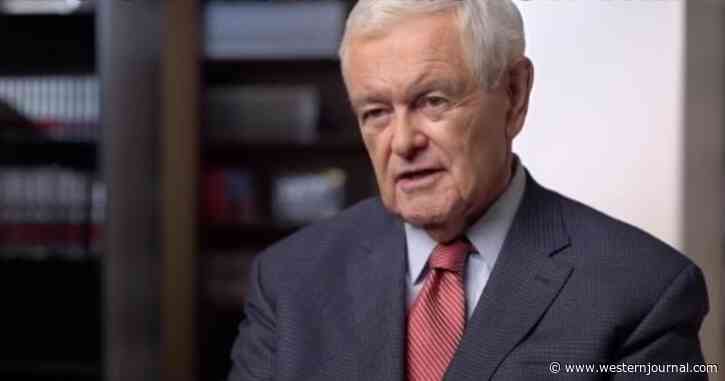 Gingrich Goes Public, Sides with Trump, Says 2020 Election Really Was Rigged