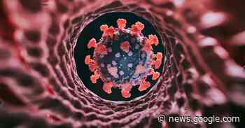 Why the Covid-19 BA2 variant may not cause a big wave of US cases - Vox.com