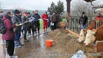 Praxistag in Neubulach: Schüler der Fachschule Landwirtschaft  erhalten Einblick in die Milchviehhaltung