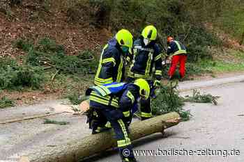 Orkan "Nasim" verursacht zahlreiche Einsätze im Kreis Emmendingen - Emmendingen - Badische Zeitung