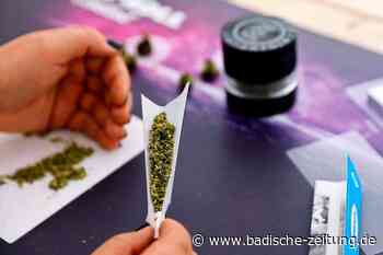 Cannabis bleibt häufigste Diagnose bei Drogenberatungsstelle im Kreis Emmendingen - Emmendingen - Badische Zeitung