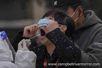 WHO: COVID cases and deaths continue to fall globally - Campbell River Mirror