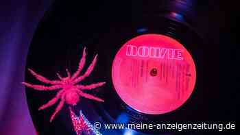 Ausstellung „Rock Fossils“ in Frankfurt zu sehen