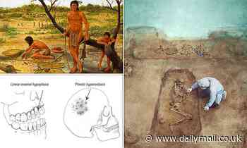 Farming made our ancestors shorter, study finds