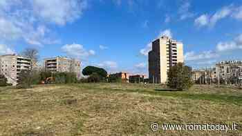 Dopo 40 anni torna fruibile l’area verde di Serpentara